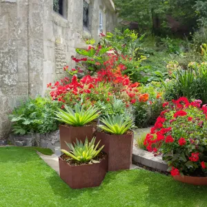 Bellamy Hexagon-Shaped Rustic Steel Planter