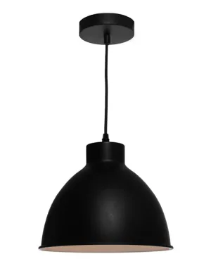 Cougar Dome 1lt Pendant