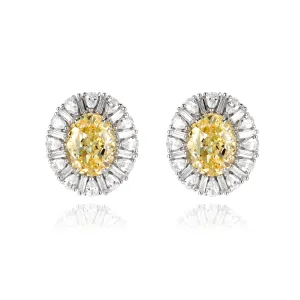 Dazzling earrings