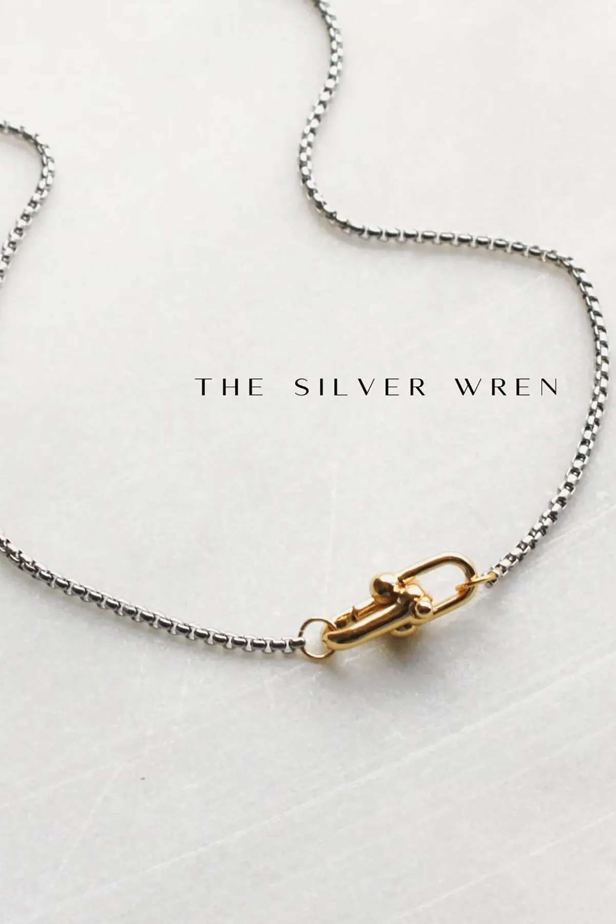 Interlocking Charm Holder Necklace