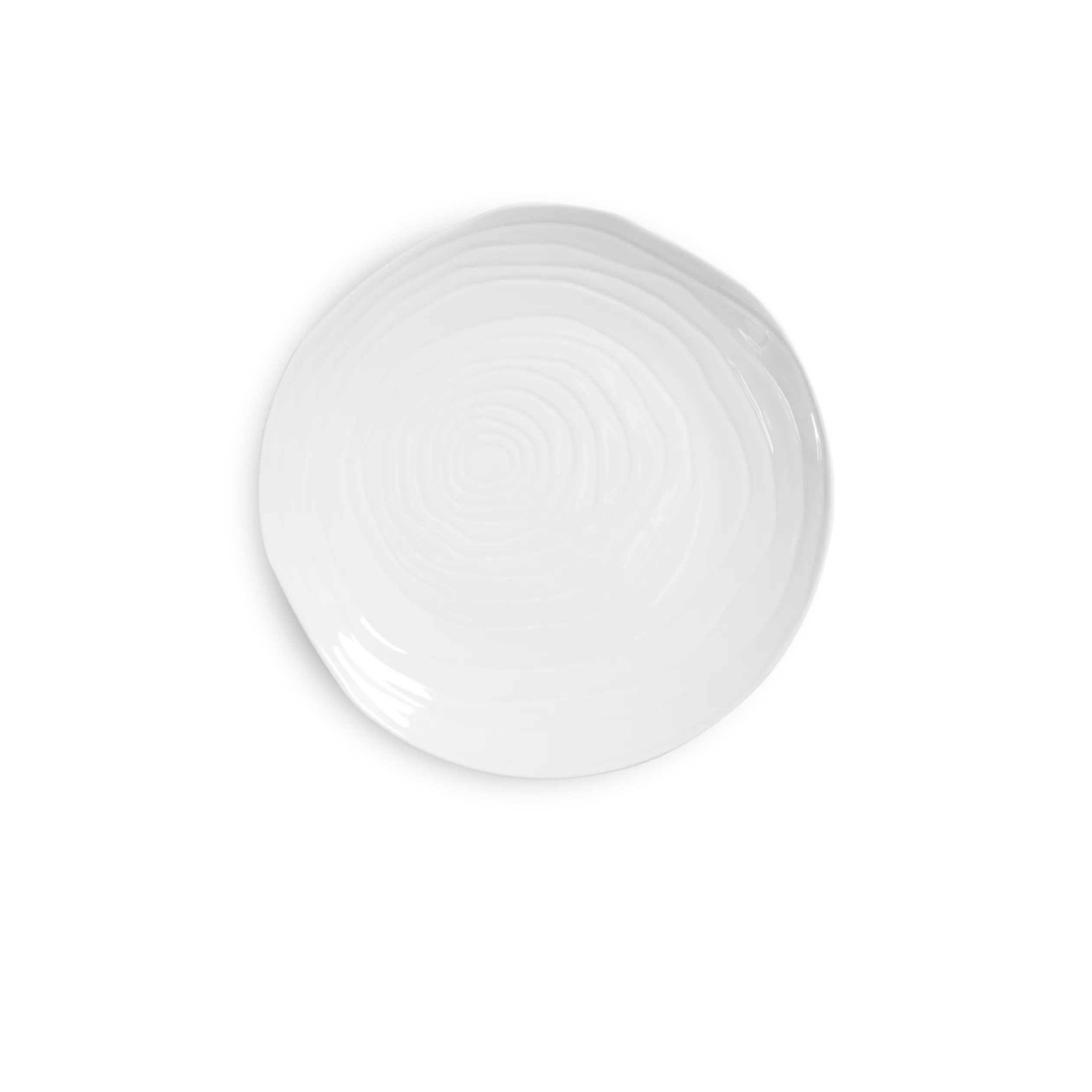 Teck 11" White Dinner Plates, Set of 4